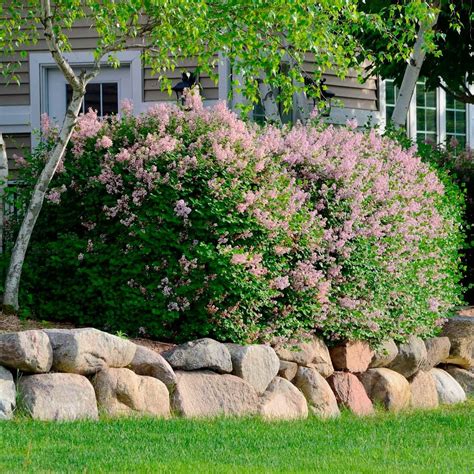 They add visual interest and variety to your yard. Front Yard Landscaping Ideas With Rocks | Family Handyman