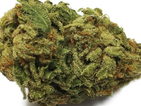 Buy Durban Poison 2 Aaa Sativa Online The Wholesome Monkey