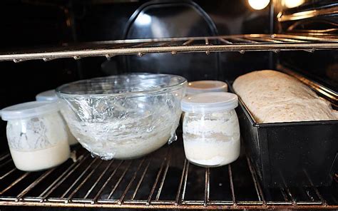A Guide On Proofing Bread In The Oven How Does It Work Busbys