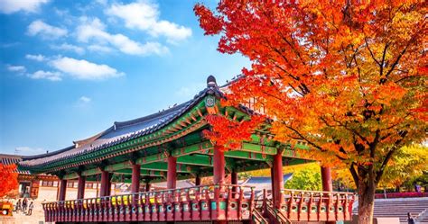 The Best Places To Visit During Autumn In Korea For Every Traveler