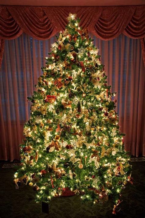 The carolers and birds sing together a chorus of love, and mr. These Christmas Trees Are Just Ridiculous - EpicPew