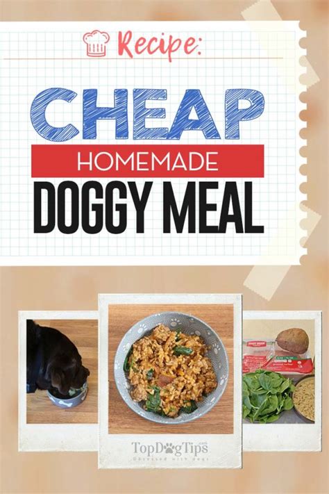 Cheap Homemade Dog Food Recipe Thats Nutritionally Balanced