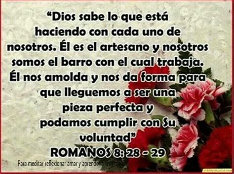 Romanos 8 28 29 Romanos 8 Reflecciones Romanos 8 28