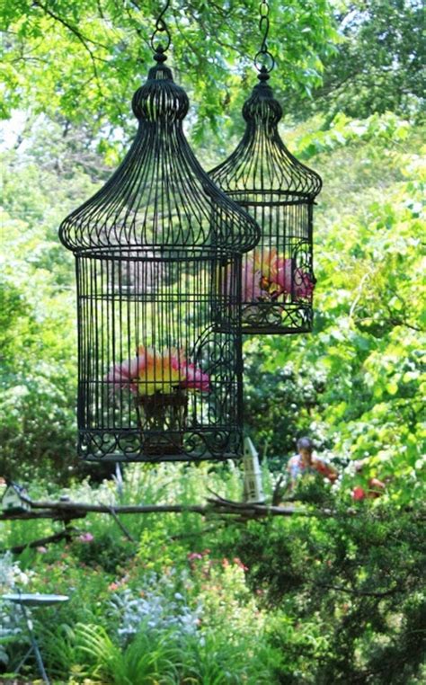 1000 Images About Bird Cages In The Garden On Pinterest