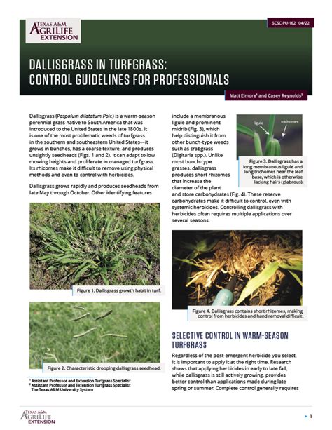 Dallisgrass In Turfgrass Control Guidelines For Professionals