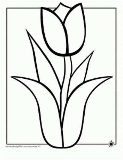 Flower Flowers Coloring Pages Easy Drawing Hawaiian