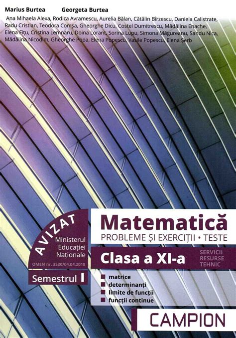 Matematica Probleme Si Exercitii Teste Clasa 11 Sem1 Marius