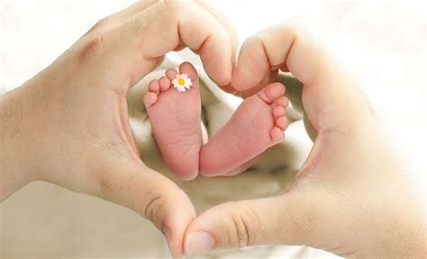 Finden sie jetzt den passenden geburtsspruch! kleine Babyfüße, Herz mit den Händen | Babyfotos, Babys bilder, Foto kinder
