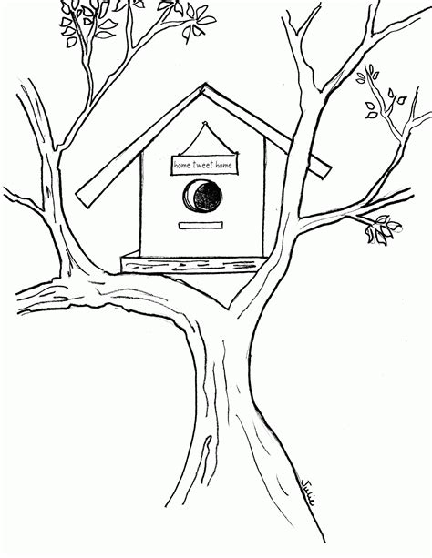 Bird House Coloring Coloring Pages