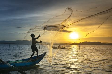 The Fishing Industry In The Philippines The Maritime Review