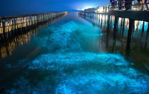 Top 5 Bioluminescent Beaches In Thailand That Will Blow Your Mind Travel Center Blog