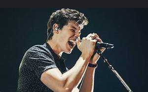 Shawn Mendes Height Weight Net Worth Age Abs Bulge Bio The Net