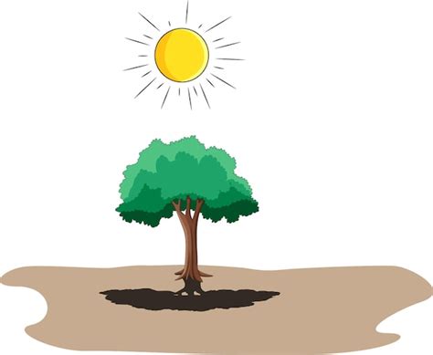 Premium Vector Illustration Showing Tree Shadow And Shining Sun