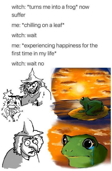Wholesome Frog Wholesomememes