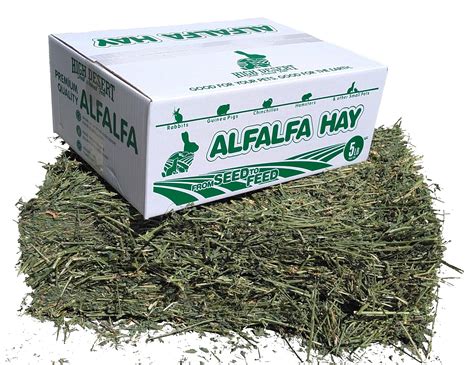 Buy High Desert Alfalfa Hay Dried Natural Alfalfa Hay For Rabbits