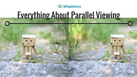 Everything You Need To Know About Parallel Viewing 3dwiggle