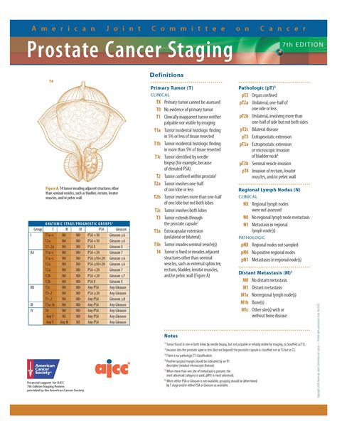 Melanoma case # 2 presentation of new case newly diagnosed melanoma patient presentation at cancer conference for treatment recommendations and clinical staging. Ajcc Breast Cancer Staging 8th Edition Poster - CancerWalls