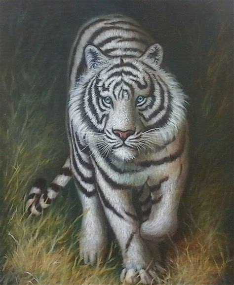 Lukisan Harimau Putih Hd Phone Wallpaper Pxfuel