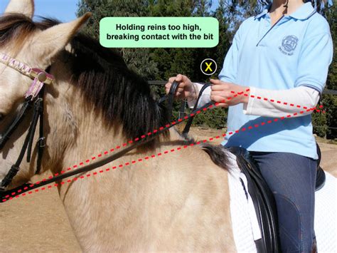 How To Hold The Reins