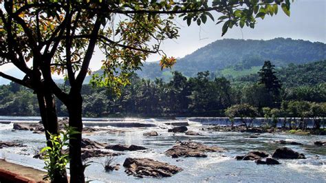 Slow Death Awaits Chalakudy River The Hindu