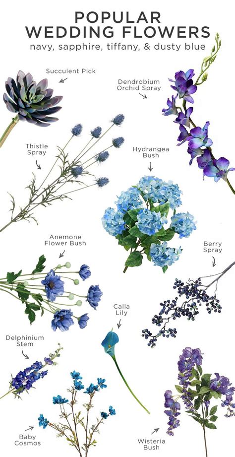 Common Types Of Flowers List 151 Types Of Flowers Common In The Us