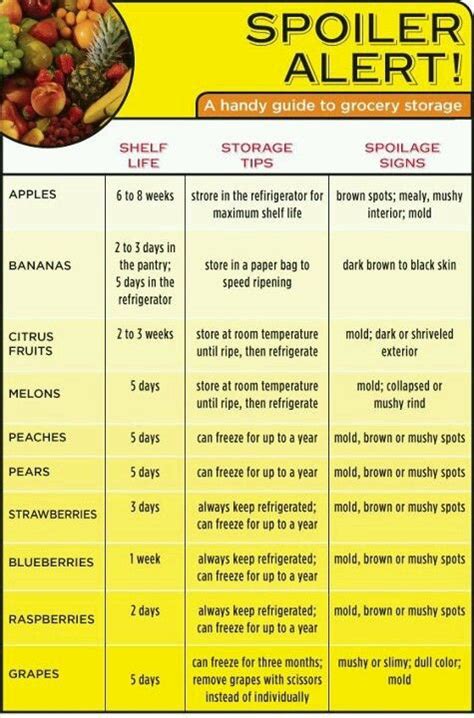 Follow these guidelines from foodsafety.gov for storing food in the refrigerator and freezer to keep it tasty and safe to eat. Handy Fruit chart | Food, Food shelf life, Food shelf