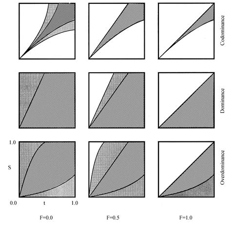 Fig Areas Of Stability For The Models Codominance Dominance And Download Scientific