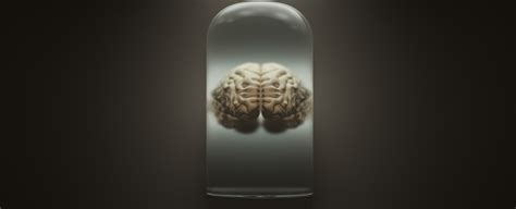 A Danish University Has The World S Largest Collection Of Human Brains