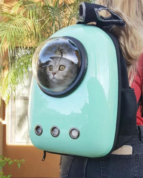 Petkit pet backpack carrier for cats and puppies, ventilated cat backpack carrier with inbuilt fan & light, comfort with padded strap for travel whether you've got a larger cat or two cats to carry with you, this backpack makes your adventures pawsible! 14 Gifs That Prove We All Get Confused Sometimes - I Can ...