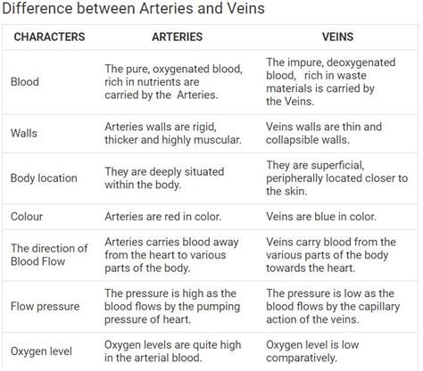 What Is The Difference Between Arteries Veins And Cap
