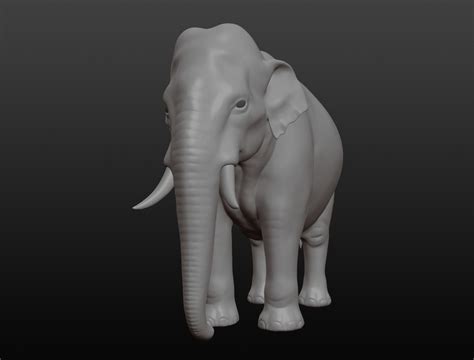 D Asian Elephant Model Turbosquid