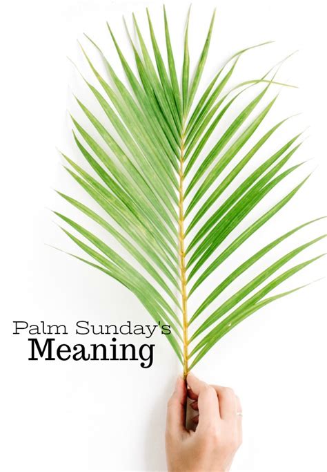 Palm Sundays Meaning Stonegable