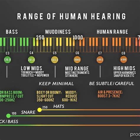 Heres How To Understand The Range Of Human Hearing Produção Musical