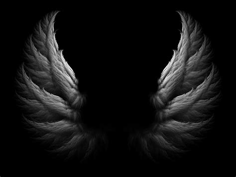 Black Angel Wings Wallpapers Top Free Black Angel Wings Backgrounds