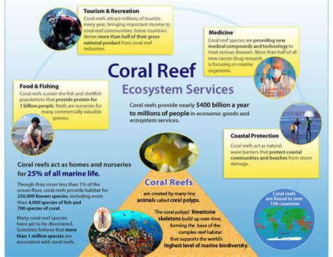 Benefits Exploration Into Coral Reefs