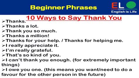 Useful English Phrases Bing