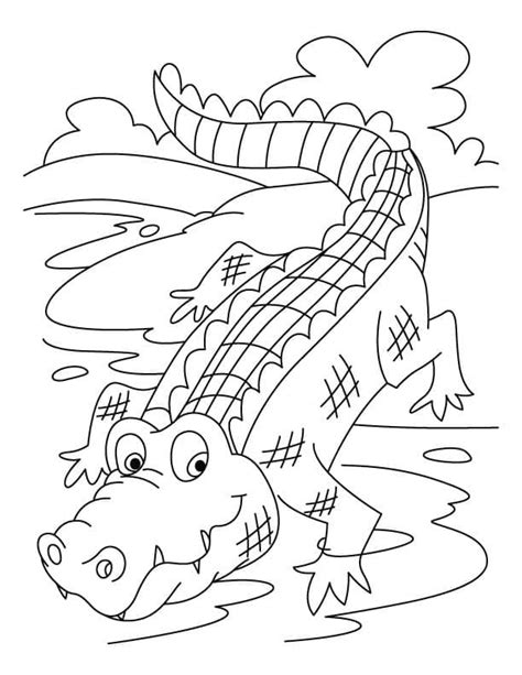 Desenhos De Um Crocodilo Sorridente Para Colorir E Imprimir