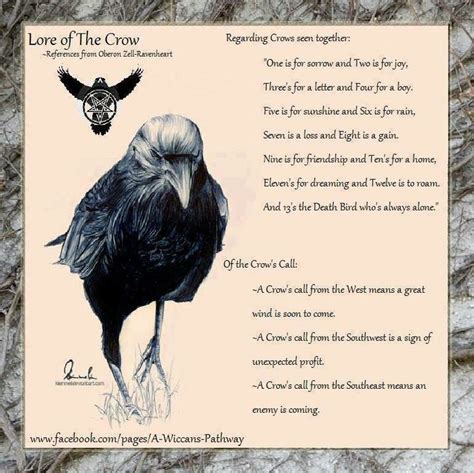 Lore Of The Crow Crow Animal Spirit Guides Animal Totems