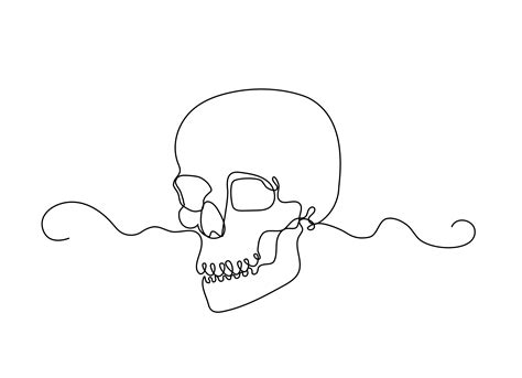 Thin Line Human Skull Vector Illustration Bundle Minimalist Etsy In