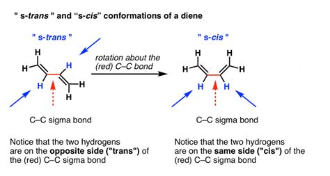 S Cis And S Trans Conformations Of Dienes Master Organic Chemistry