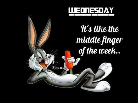 Ohh Yeah Funny Wednesday Memes Happy Wednesday Quotes Wednesday Humor
