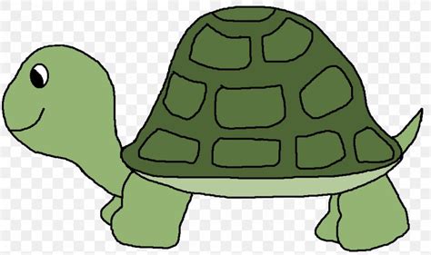 Turtle Clipart Clip Art Library