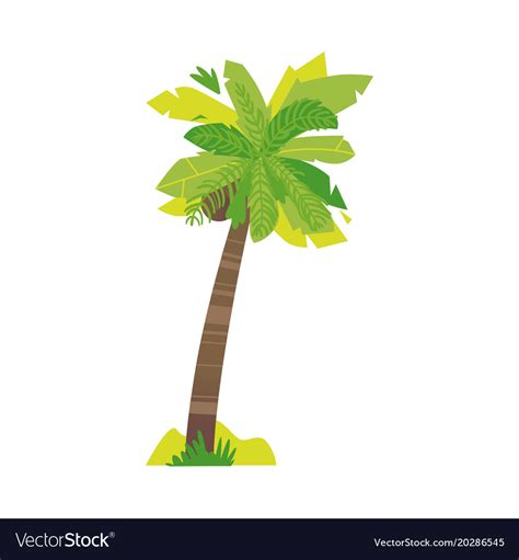 Are you searching for cartoon coconut trees png images or vector? Stylized flat style cartoon coconut palm tree Vector Image