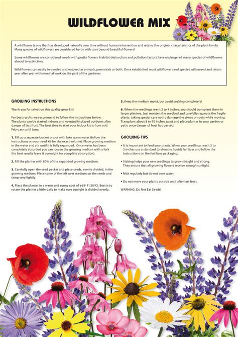 Seed Kits Flowers Instructions Totalgreen Holland