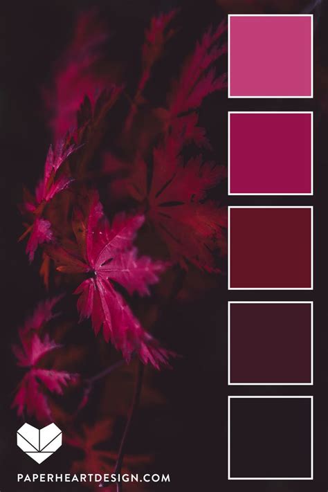Color Palette Autumn Leaf Love — Paper Heart Design Create Color