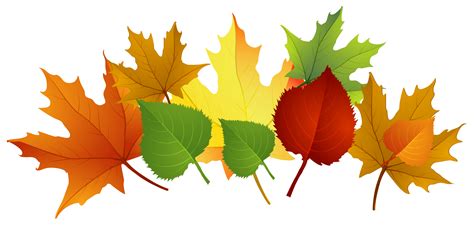 Autumn Leaf Color Clip Art Fall Leaves Png Clipart Png Download