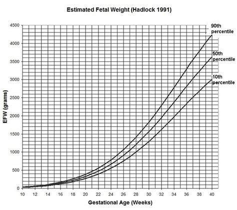 Fetal Weight Percentile Calculator Blog Dandk
