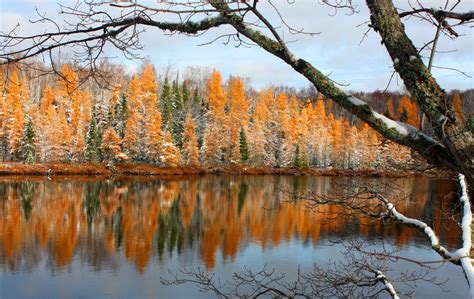 Autumn & Winter Waterpainting Landscape | Landscape, Boreal forest, Winter photos