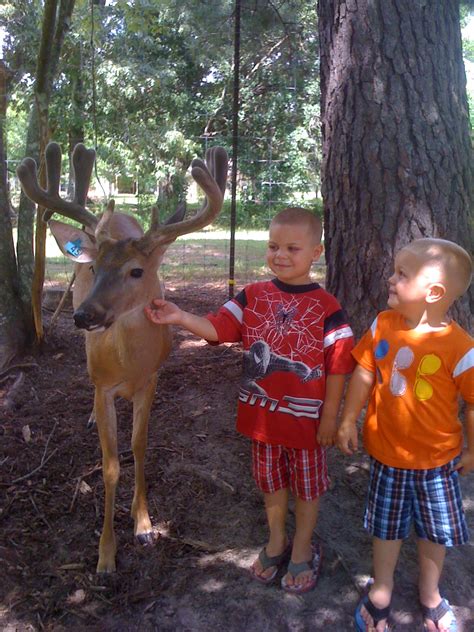 Louisiana Trophy Whitetail Petting Zoo For You Or Your Childrens