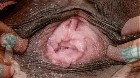Female Textures Morphing 1 Hd 1080pvagina Close Up Hairy Sex Pussy